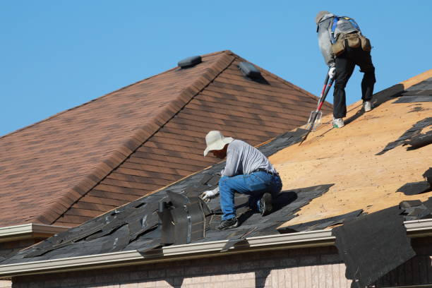 Best Roof Moss and Algae Removal  in Parma Heights, OH